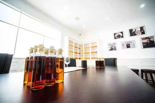 连黄伟文都特地来打卡！广州创意园高逼格展览，免费解锁数字创意新体验